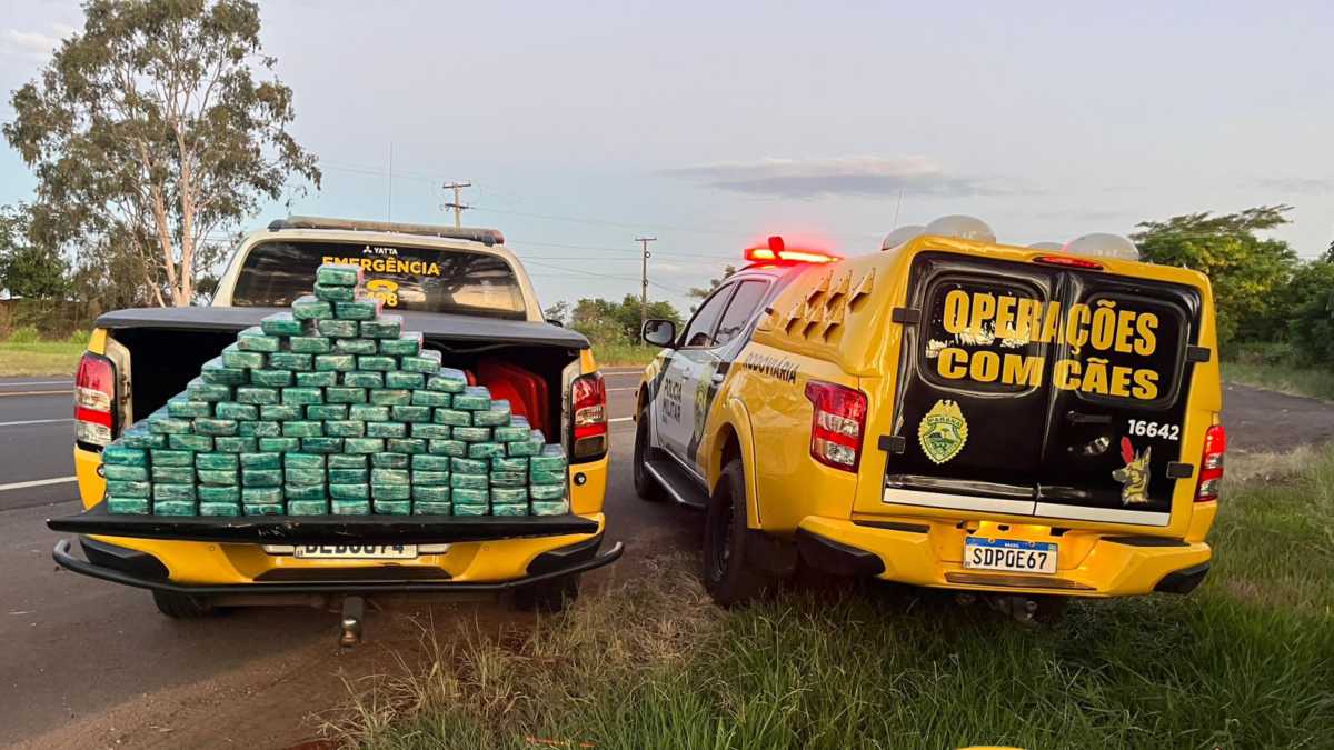 Mais de R$ 7 milhões em cocaína foram apreendidos no Paraná