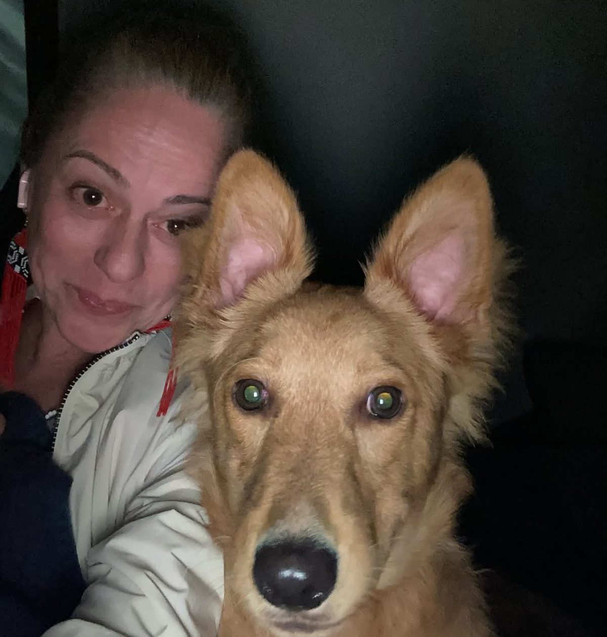 Atriz que fez Bebel em "A Grande Família" perde cachorro durante férias em SC