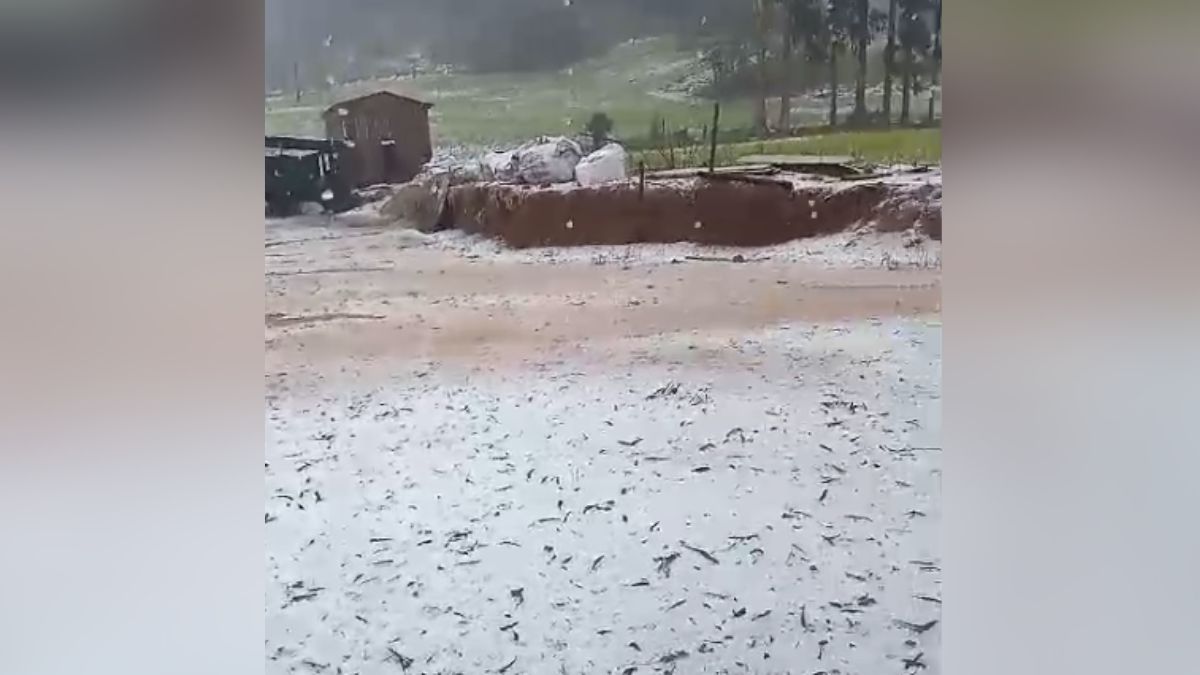 Chuva de granizo deixa estragos no interior do PR; veja imagens