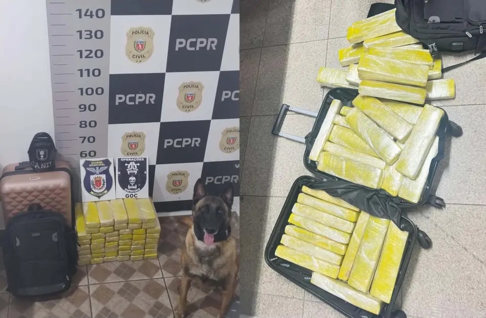 Adolescente é detida em Curitiba ao tentar transportar maconha em ônibus