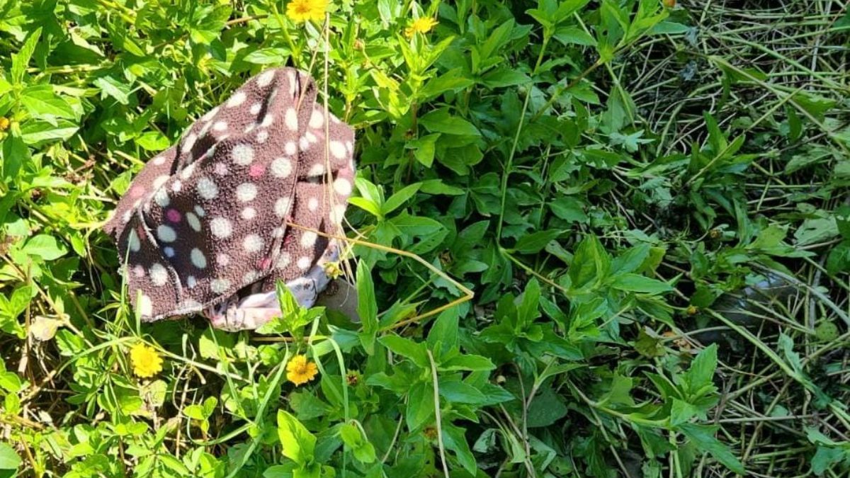 Suspeito de estuprar criança se trancou no banheiro para se lavar, diz delegado
