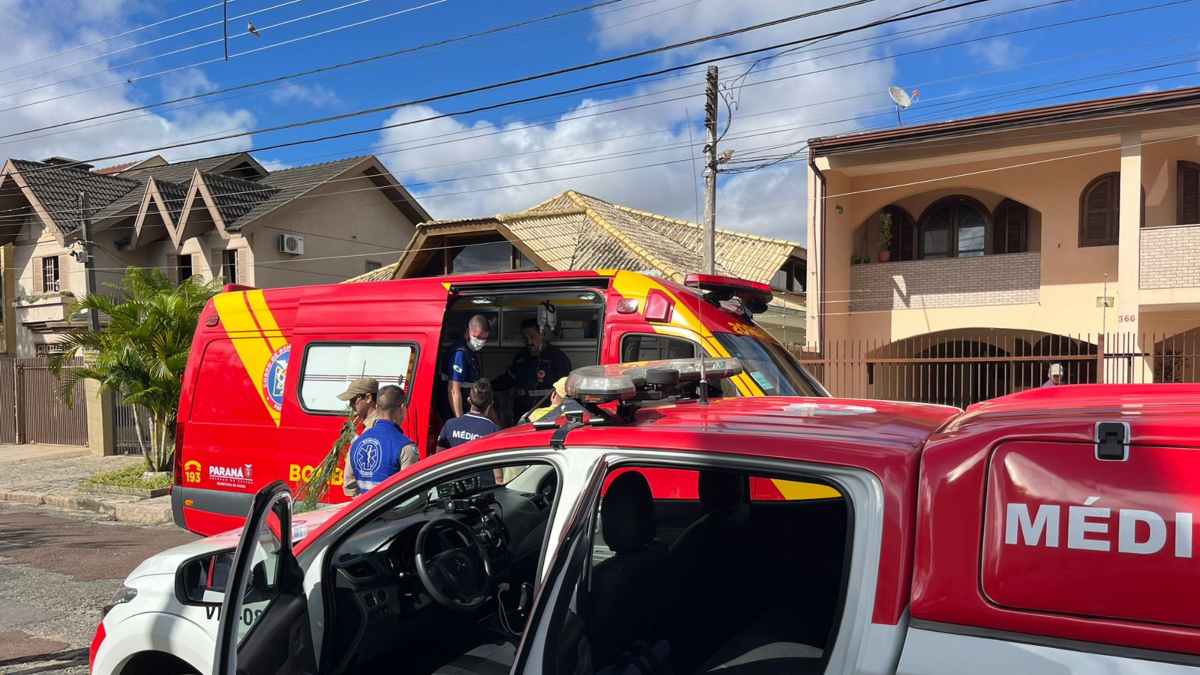 Homem de 64 anos leva mais de 80 picadas de abelha em Curitiba