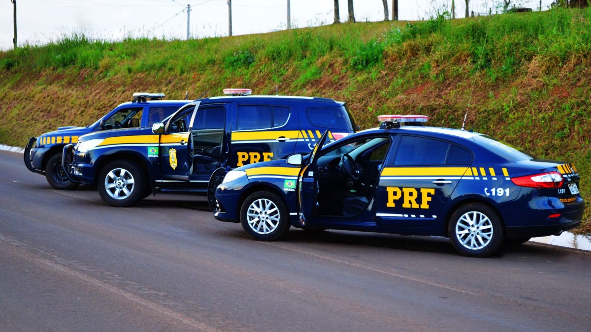 O ano que ainda está começando reserva grandes oportunidades aos interessados em vagas de nível médio nos concursos públicos. Além de certames já confirmados, como o da Empresa Brasileira de Pesquisa Agropecuária (Embrapa), vários outros concursos são aguardados para este ano.